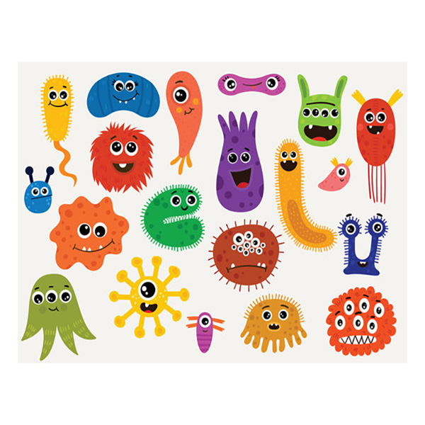 PARASITE CLEANSE PROTOCOLS