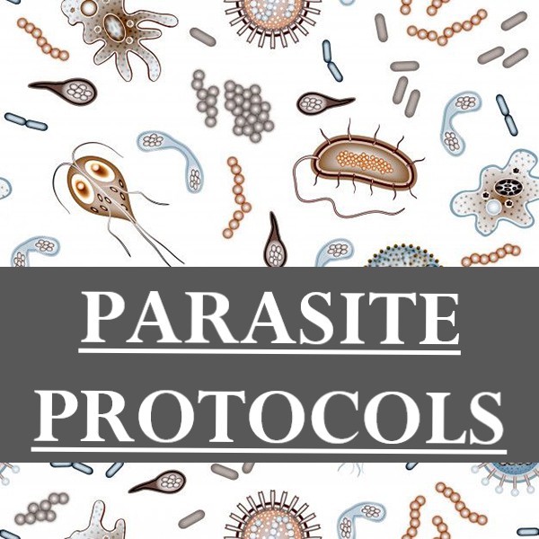 PARASITE CLEANSE PROTOCOLS